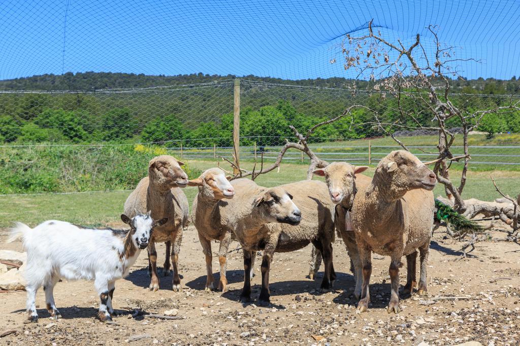 Lou Mas Li Pitchoun "Le Luberon " Villa Gordes Exterior foto