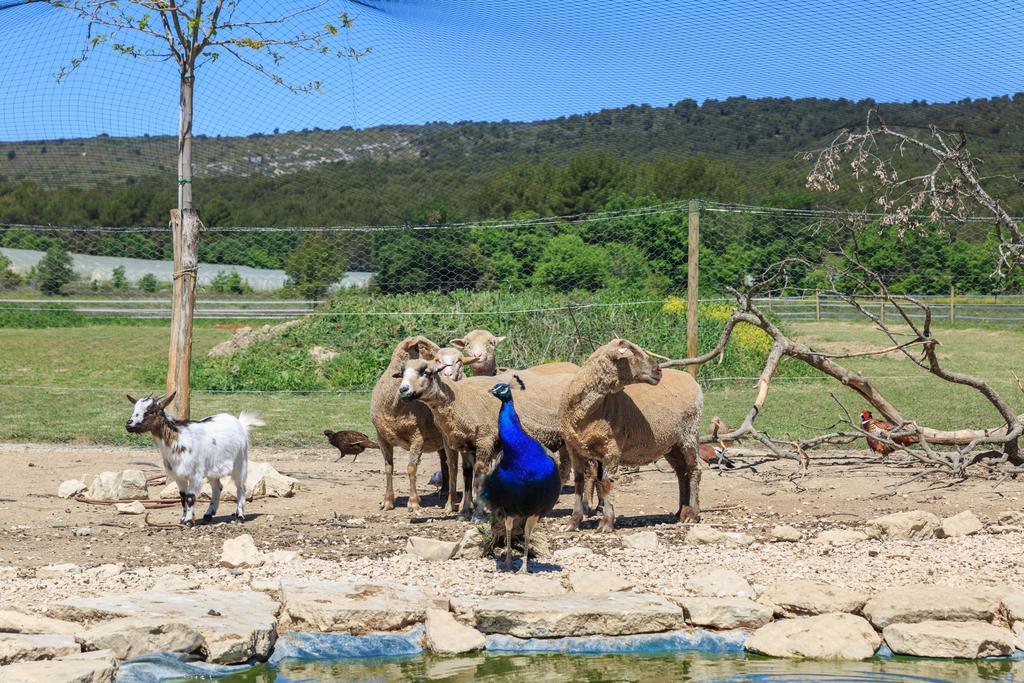 Lou Mas Li Pitchoun "Le Luberon " Villa Gordes Exterior foto