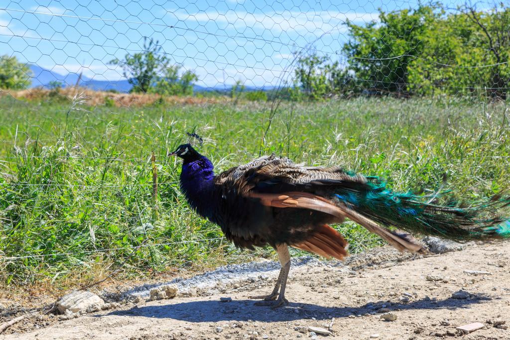 Lou Mas Li Pitchoun "Le Luberon " Villa Gordes Exterior foto